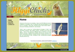 Visit Higgi Chicks Cockatiels