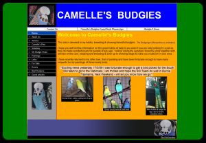Visit Camelles Budgies