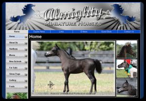Visit Almighty Miniature Horses